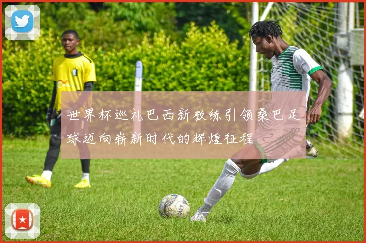世界杯巡礼巴西新教练引领桑巴足球迈向崭新时代的辉煌征程